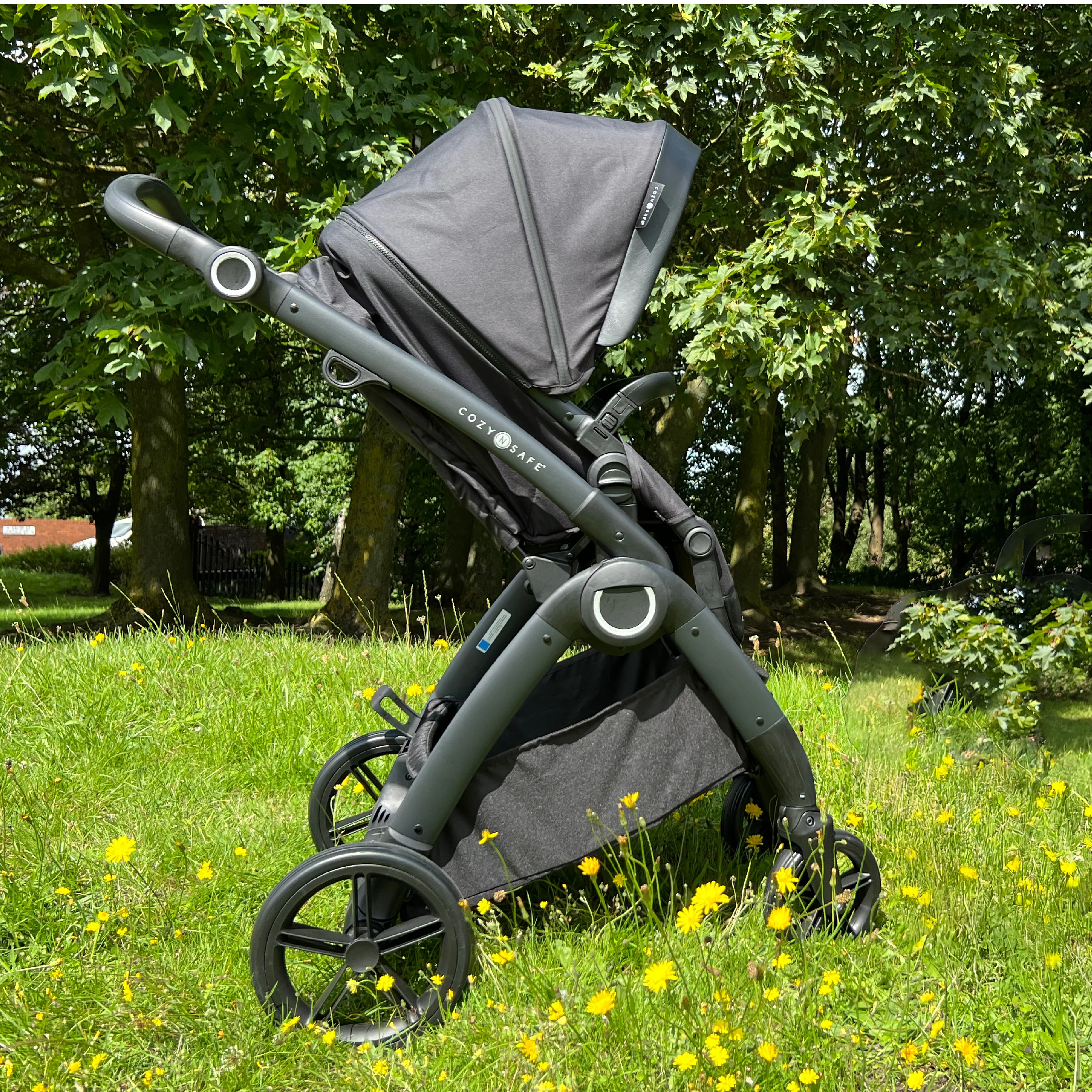 Champion Pram - Image 6